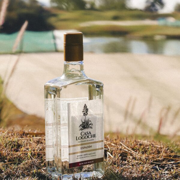 Mezcal Artezanal Casa Logoche - Espadin