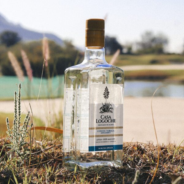 Mezcal Artesanal Casa Logoche - Coyote Tobalá Ensamble